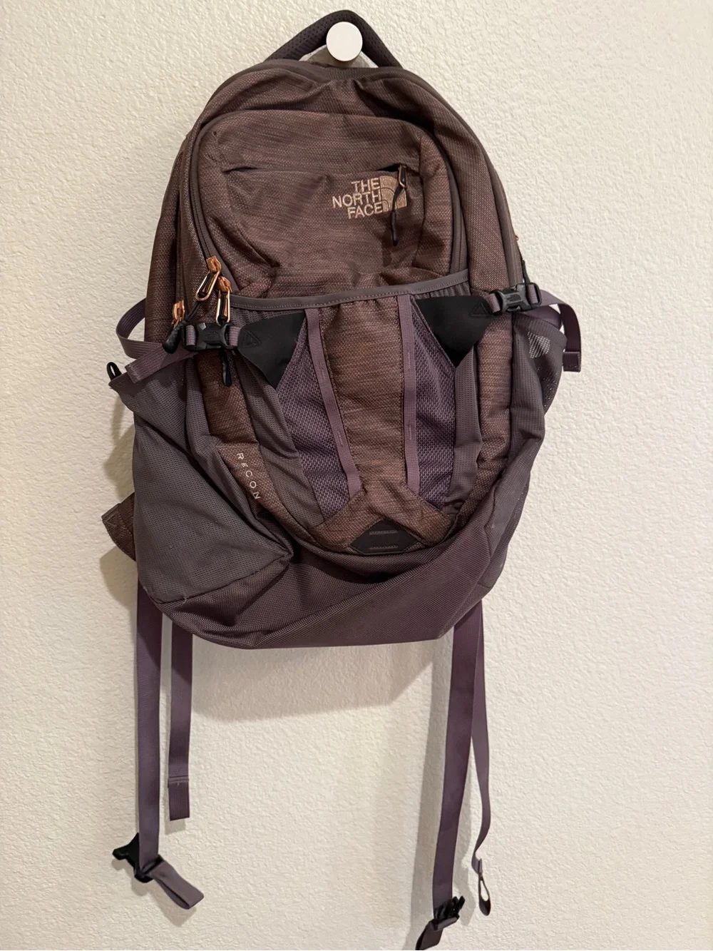 The North Face Plum/Purple Everyday Backpack